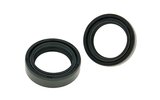 Vork Seals 31x43x10,3 Honda / Kawasaki / Kymco – productfoto