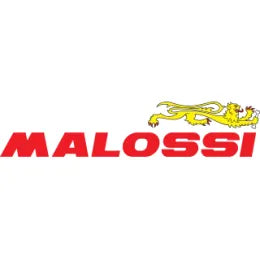 Malossi