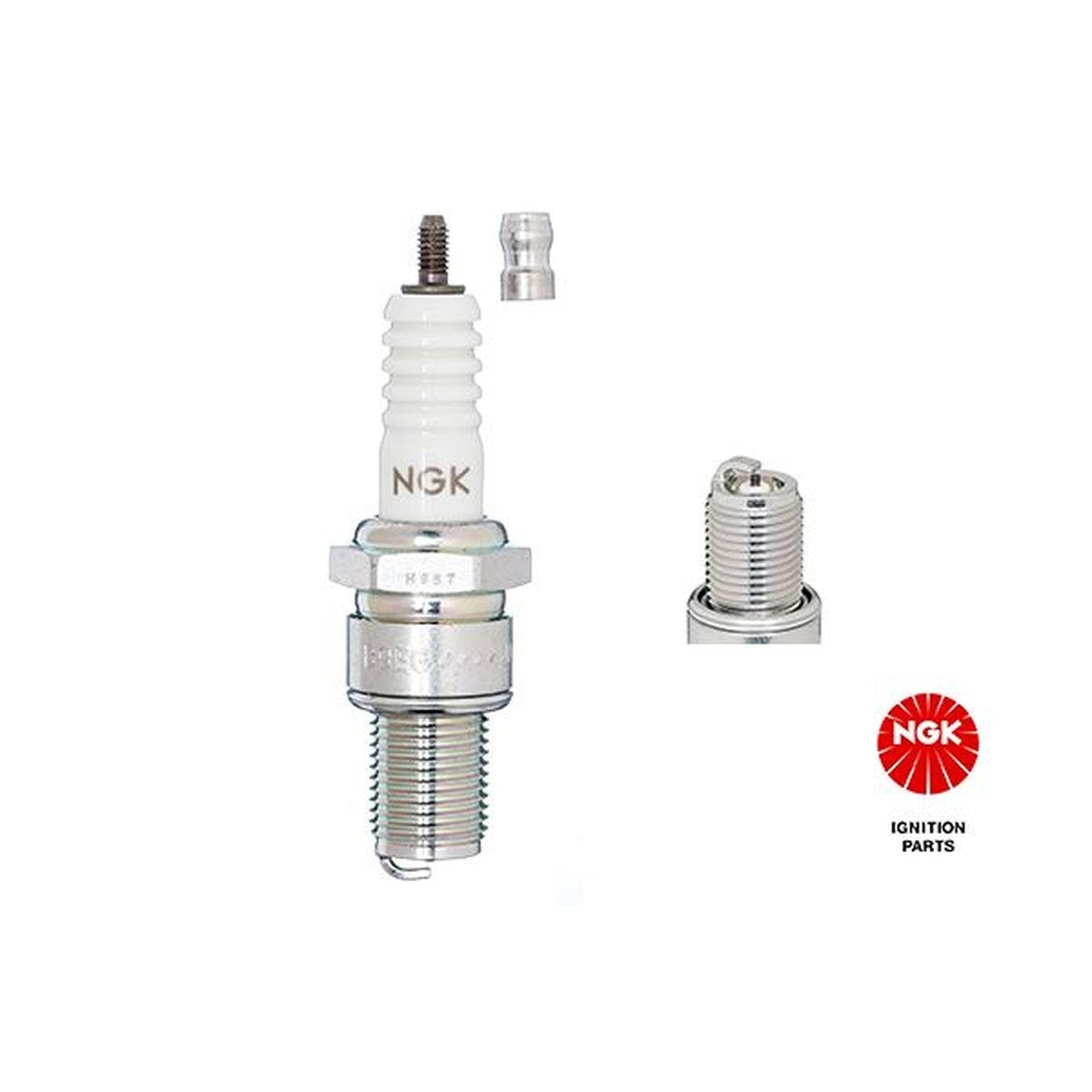 NGK B8EG bougie | productfoto | NGK-B8EG
